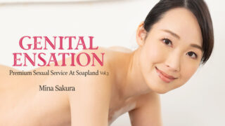 Heyzo 3224 – Genital Sensation -Premium Sexual Service At Soapland- Vol.3 – Mina Sakura